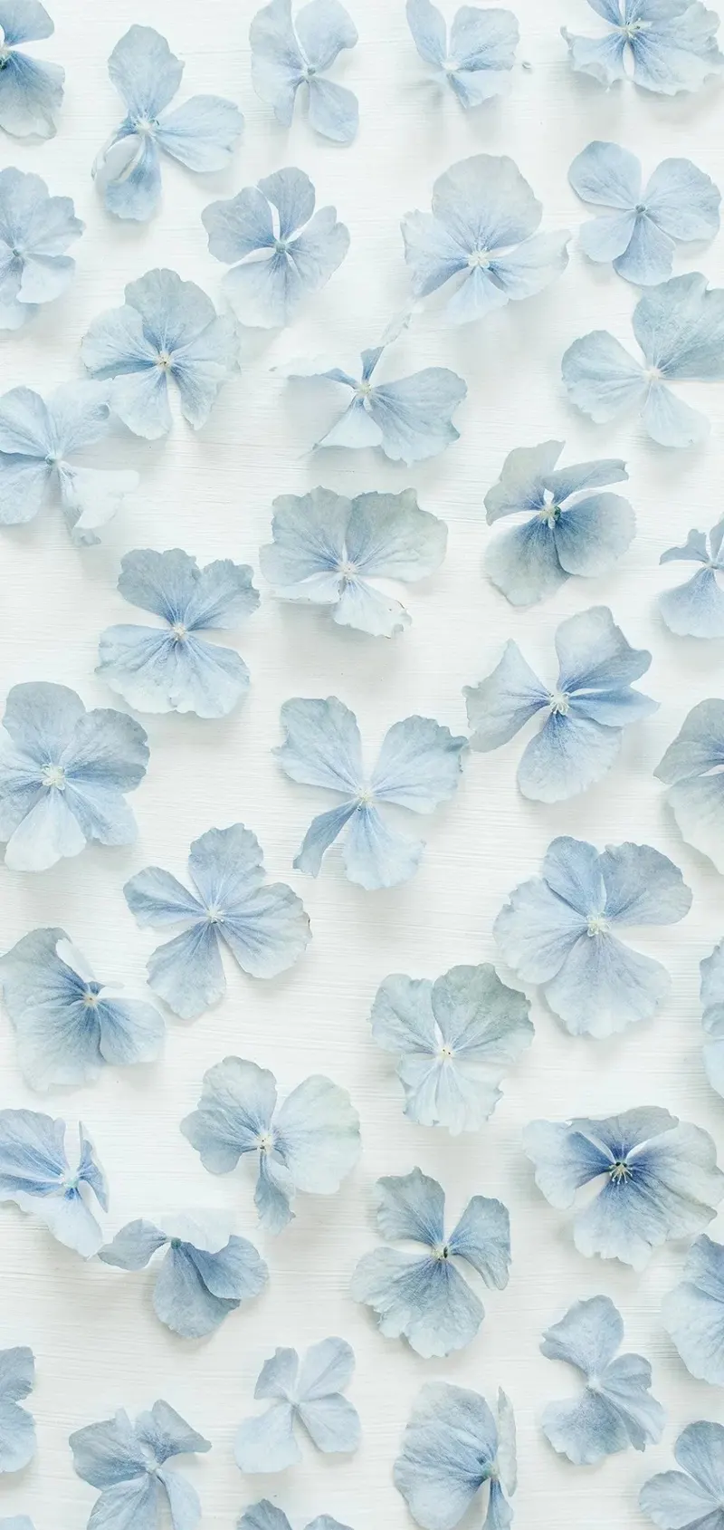 Hình nền tối giản đẹp sắc thái tinh tế