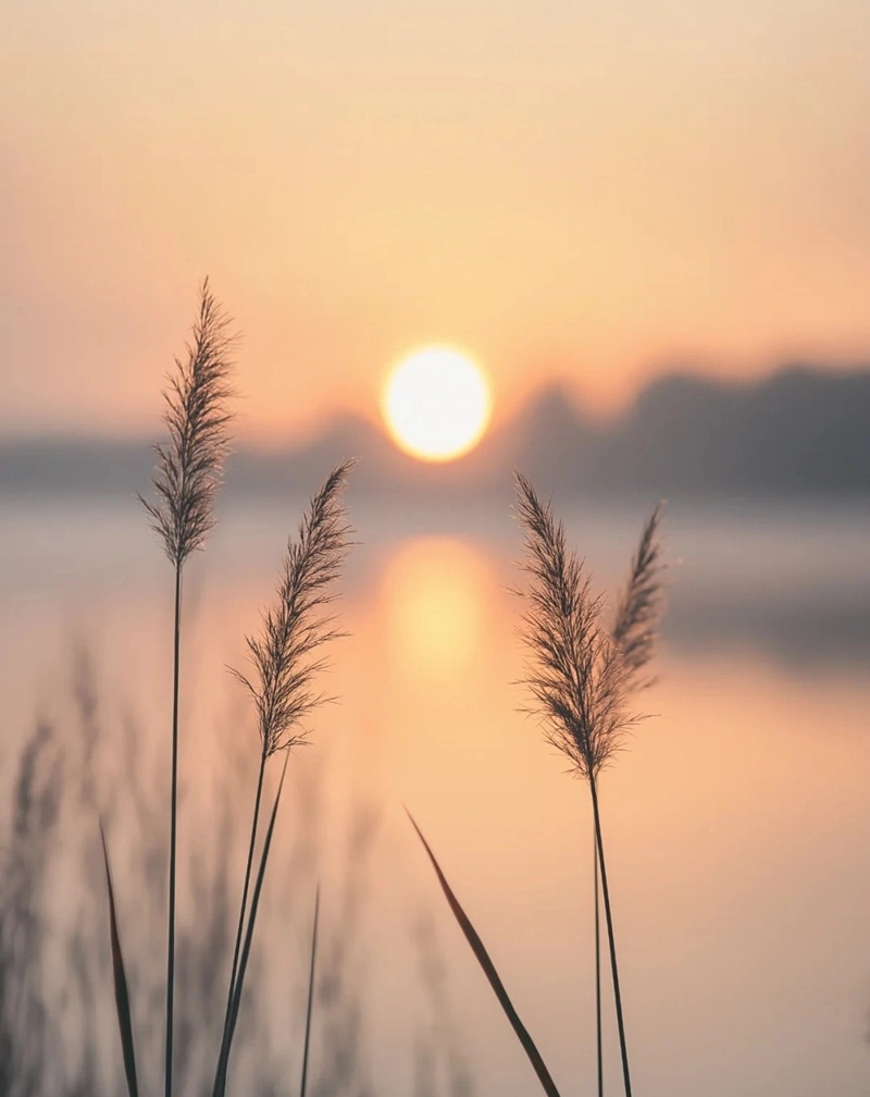 Hình nền tối giản đẹp tinh tế sang trọng