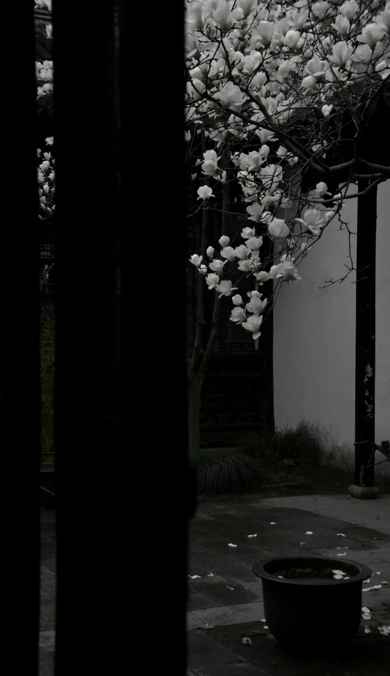 Hình nền tối huyền ảo cảm giác sâu sắc