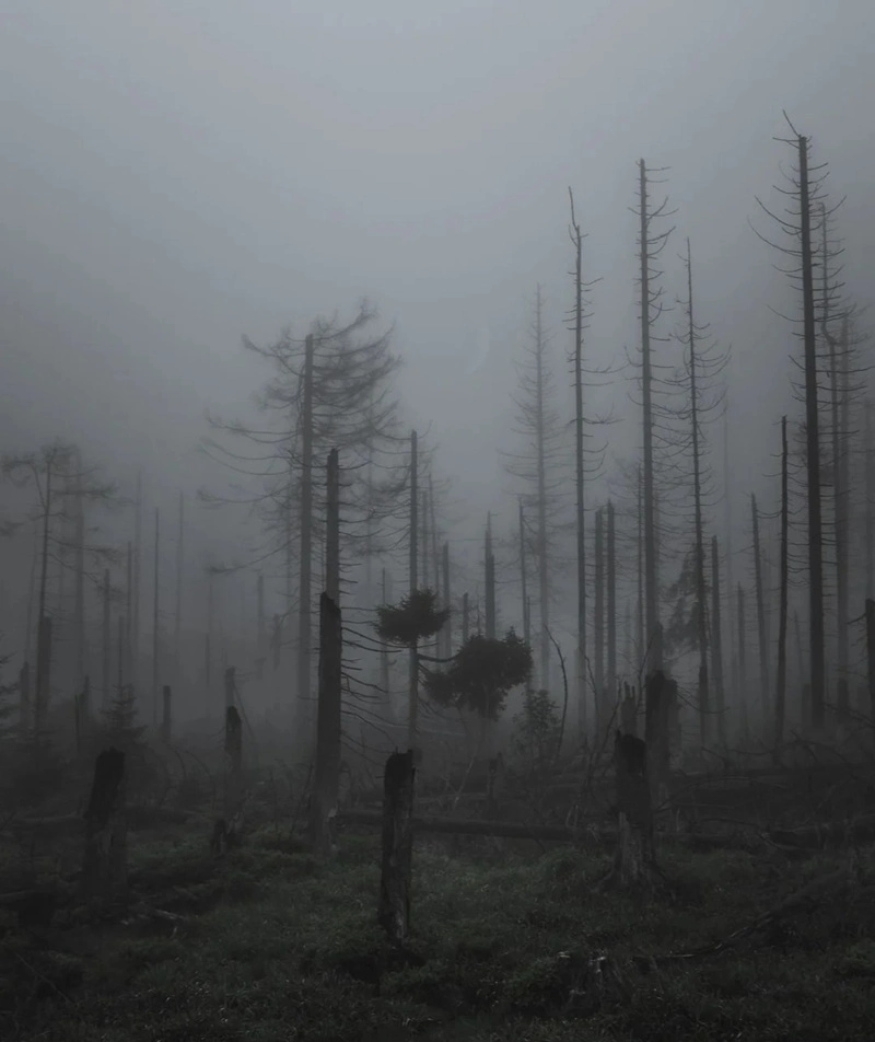 Hình nền tối huyền ảo đẹp bí ẩn