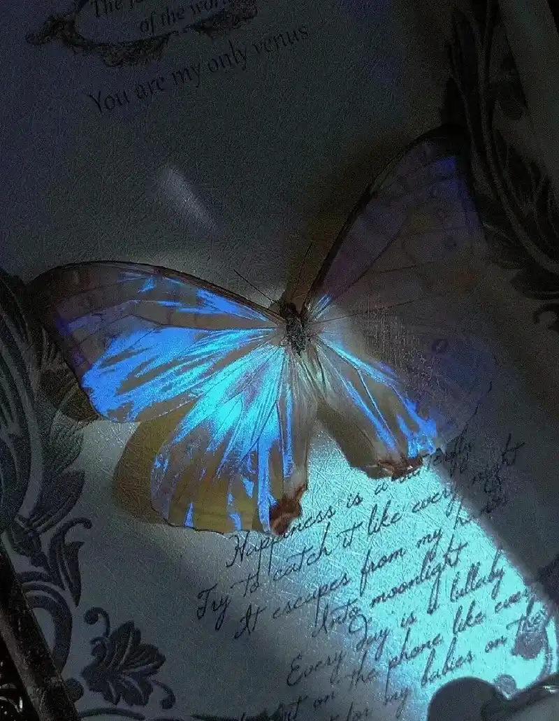 Hình nền tối huyền ảo không gian mờ ảo