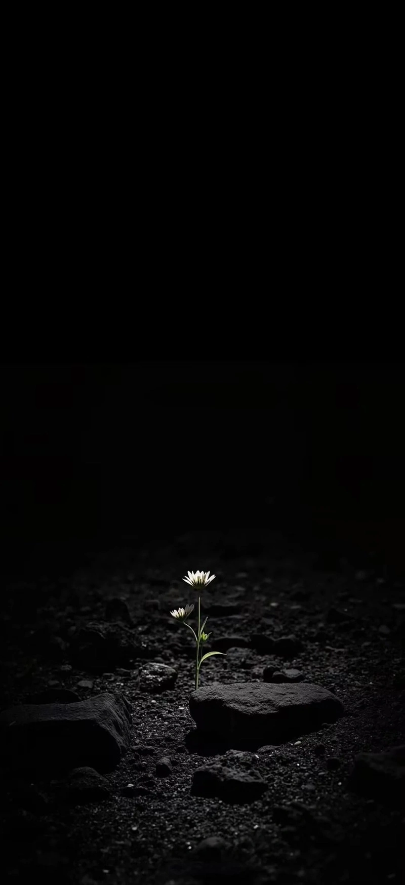 Hình nền tối huyền ảo thiết kế tối giản