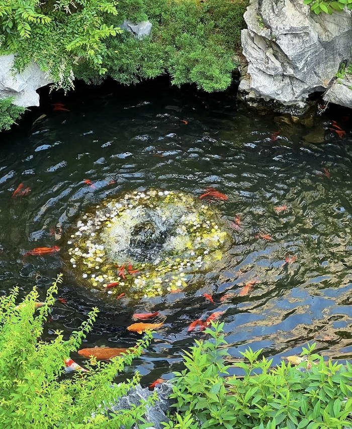 Hình phong thủy tràn đầy sinh khí Hình phong thủy tràn đầy sinh khí