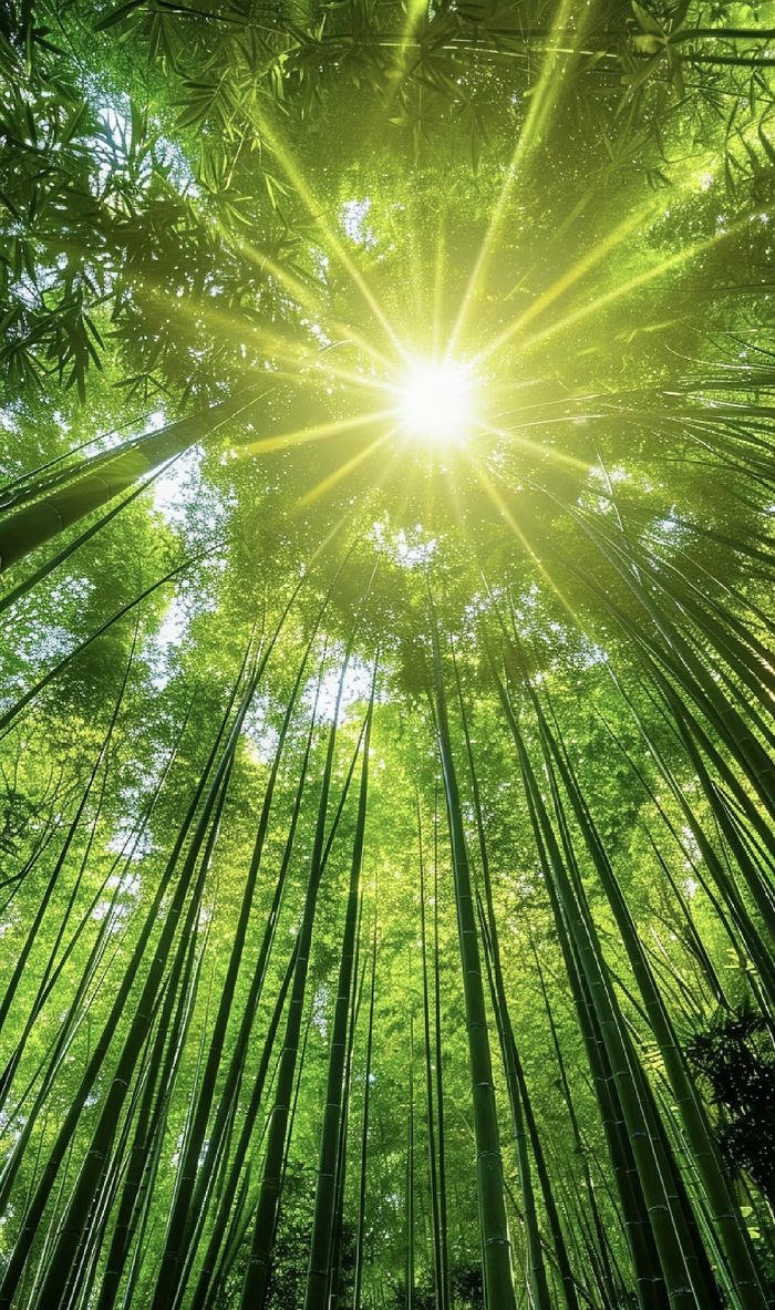 Hình phong thủy tự nhiên Hình phong thủy tự nhiên