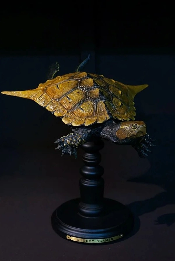 Hình rùa phong thủy hợp phong thủy nhà ở