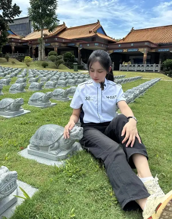 Hình rùa phong thủy phù hợp mọi không gian