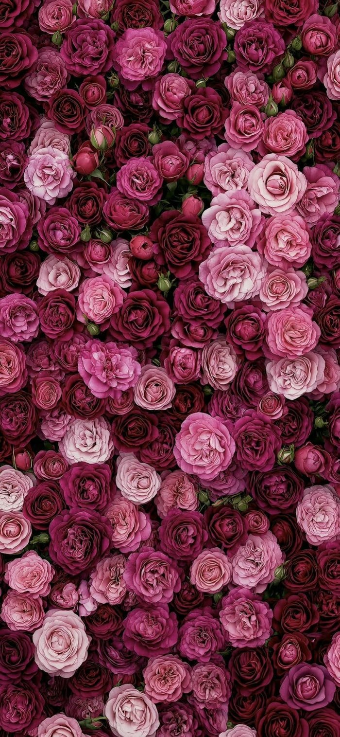 ảnh nền cánh hoa nở