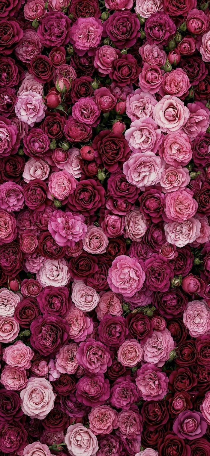 hình nền hoa đẹp