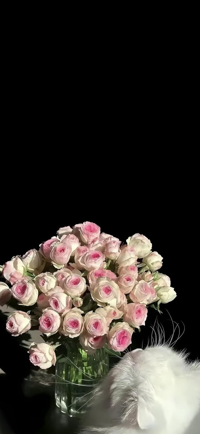 ảnh nền hoa full hd