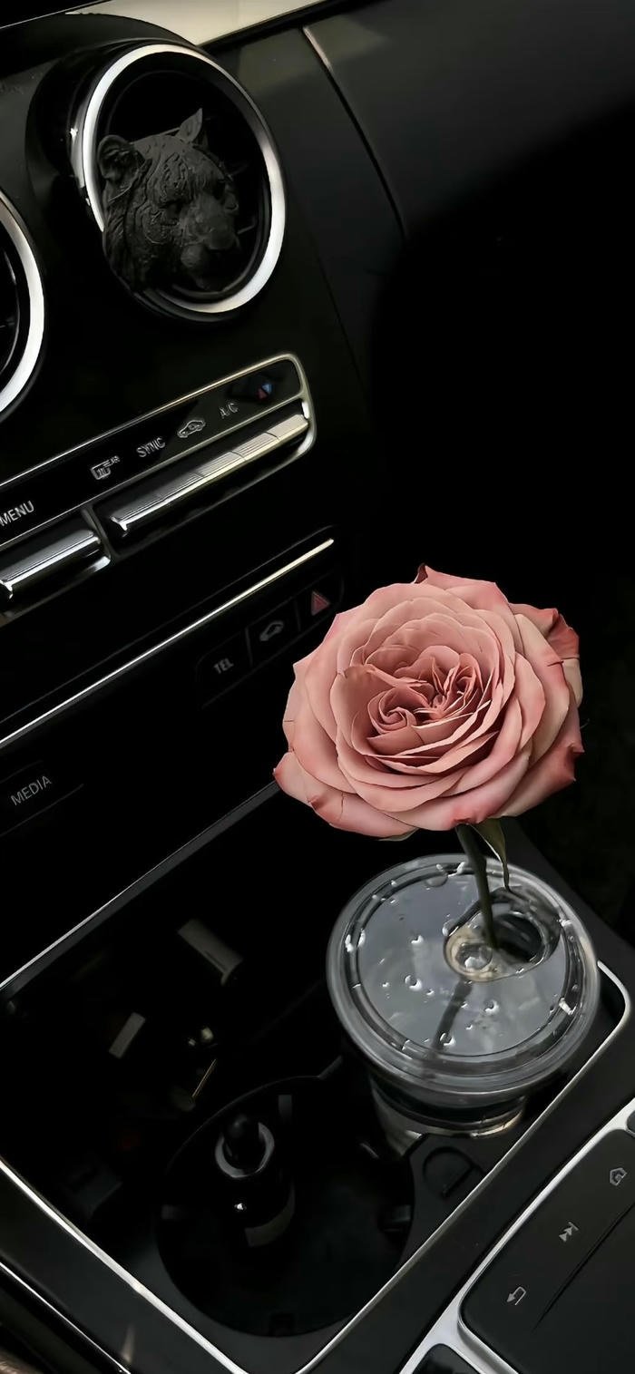 ảnh nền hoa hồng đơn giản