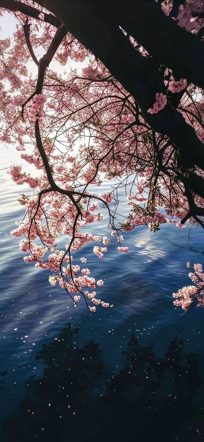 ảnh nền hoa nở rộ