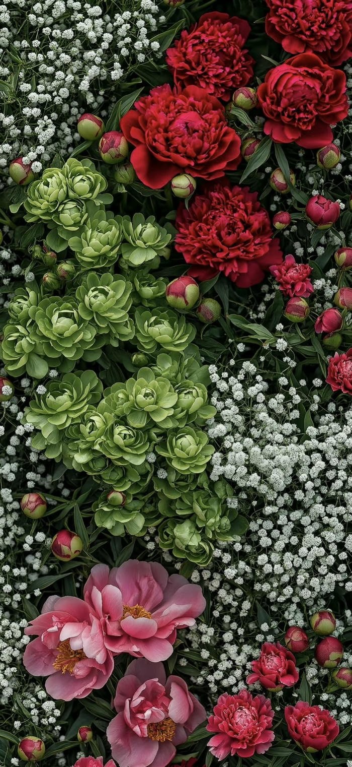 ảnh nền hoa rực rỡ