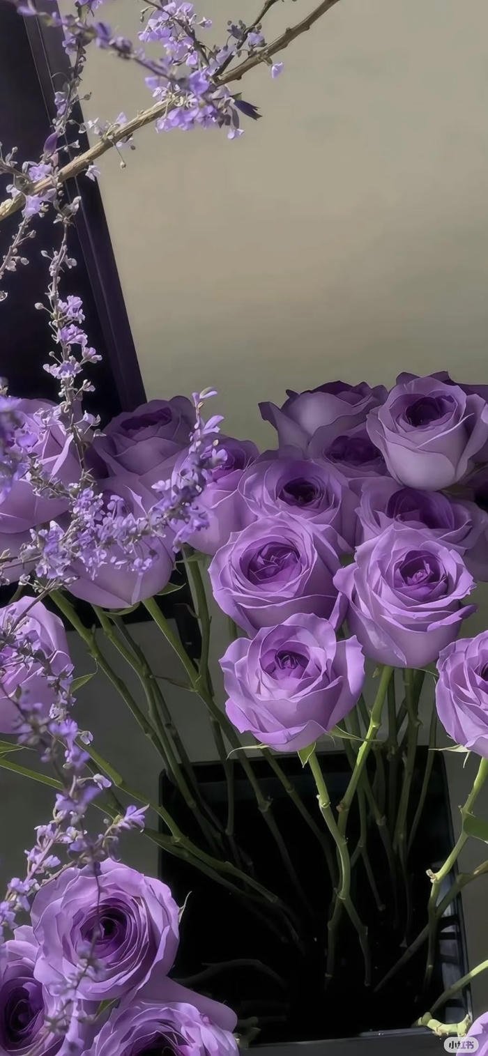 ảnh nền hoa tinh tế