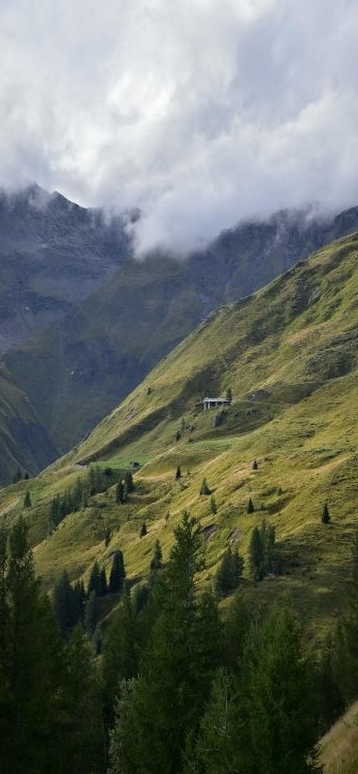 ảnh nền rừng núi hùng vĩ