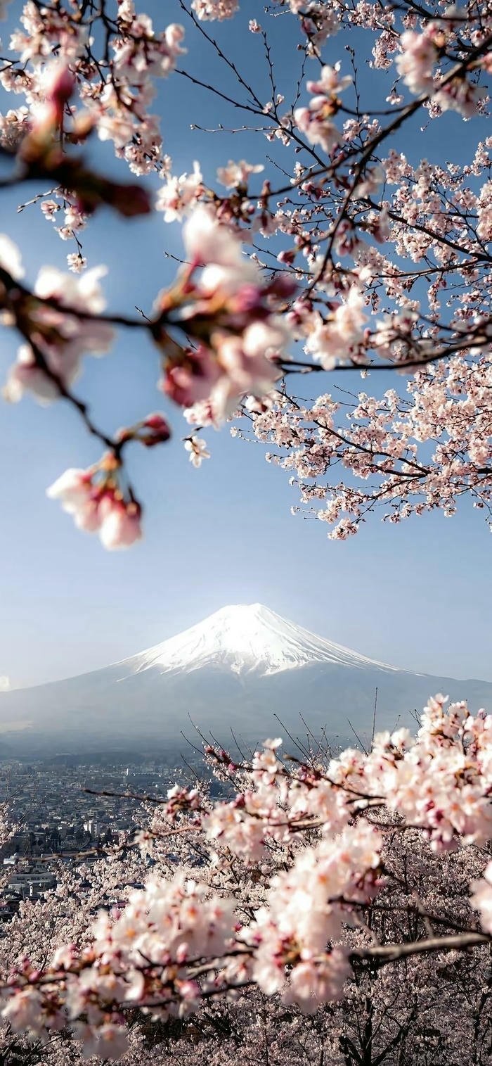 ảnh nghệ thuật hoa nở mềm mại