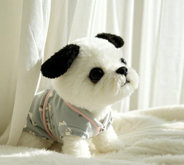 avatar dễ thương độc lạ