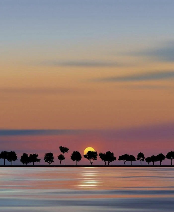 avatar minimal đẹp nhất