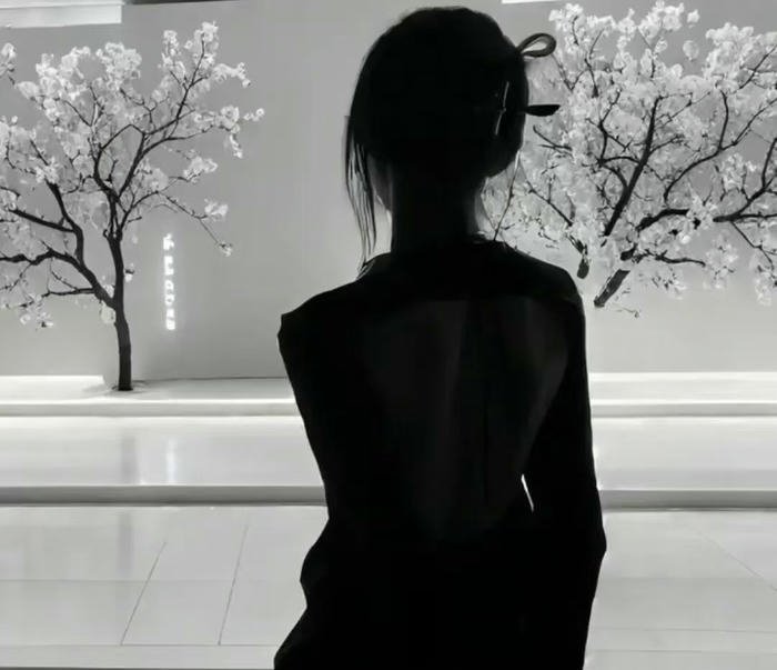 bố cục tối đơn