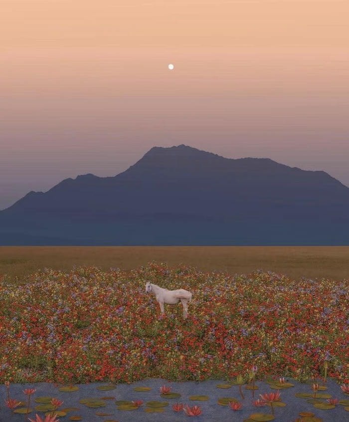 bố cục tối giản đẹp