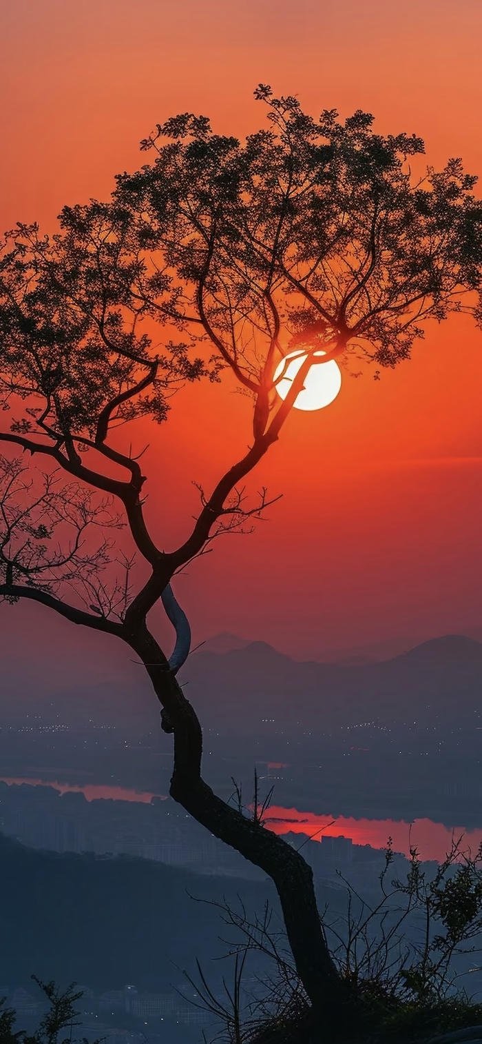 các ảnh nền hoàng hôn đẹp