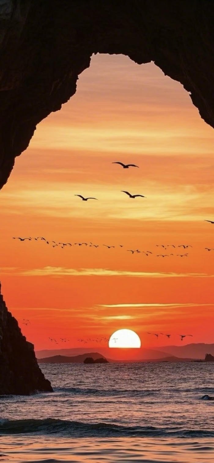 các ảnh nền hoàng hôn ngoài bãi biển