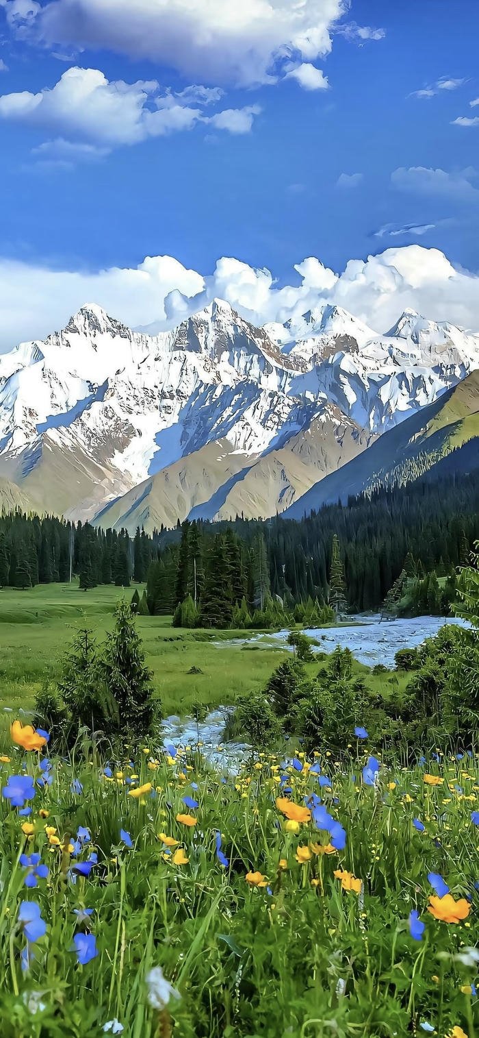 các ảnh nền rừng núi xanh mướt