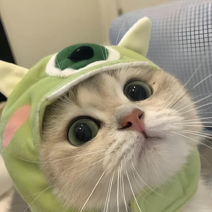 các avatar mèo dễ thương