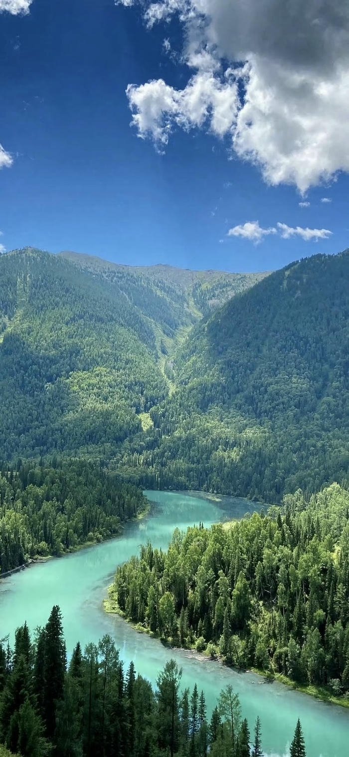 hình nền rừng núi đẹp