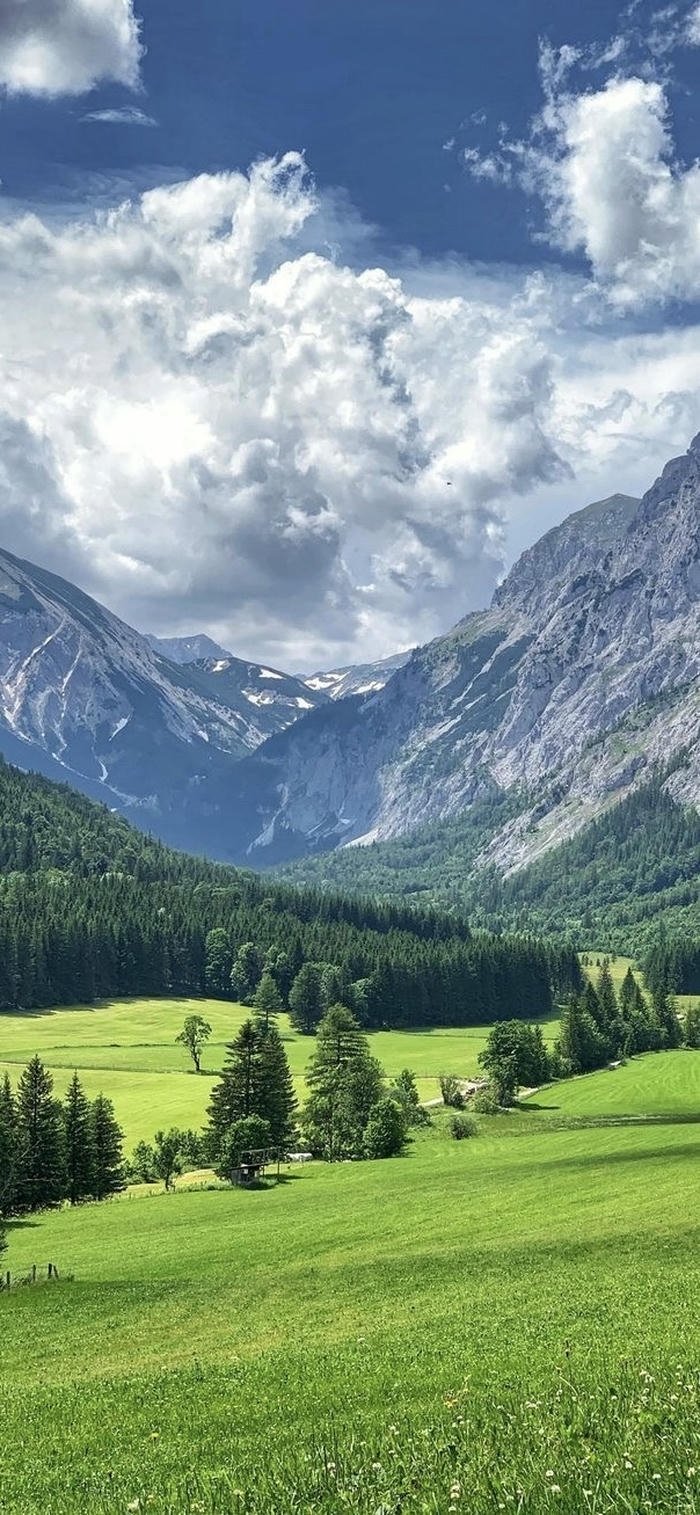 các hình nền núi rừng đẹp mê hồn