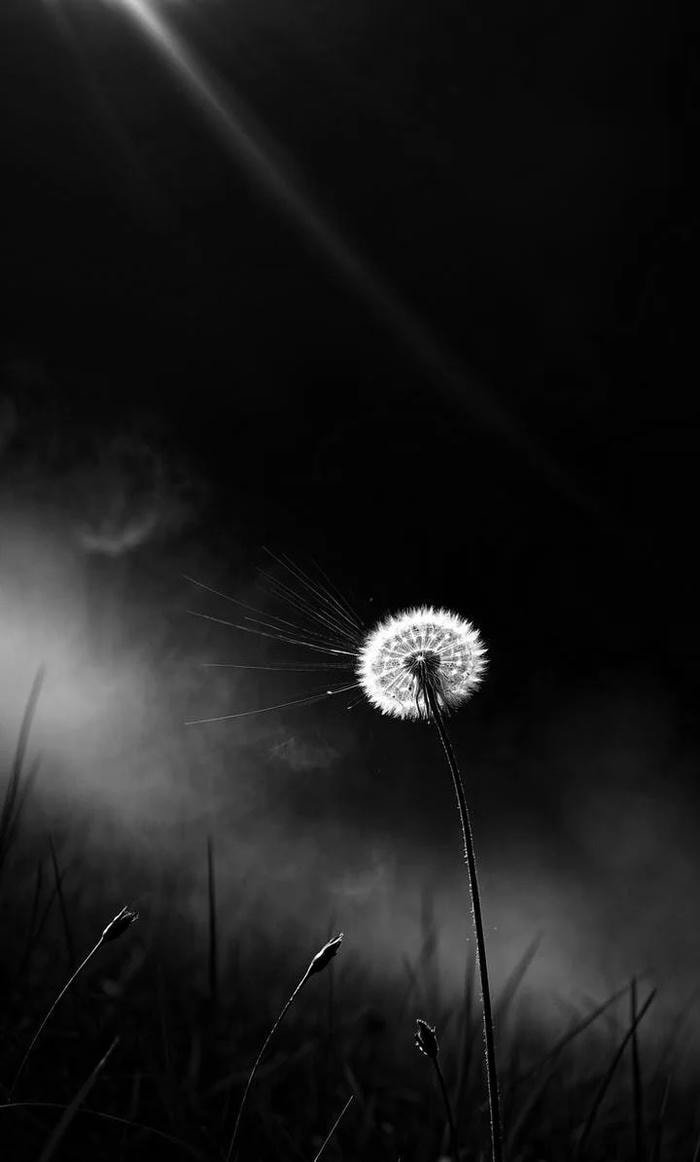 đồ họa minimal nhẹ