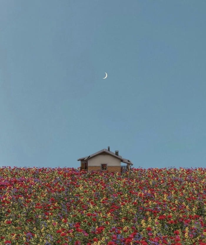 giao diện minimal tinh tế