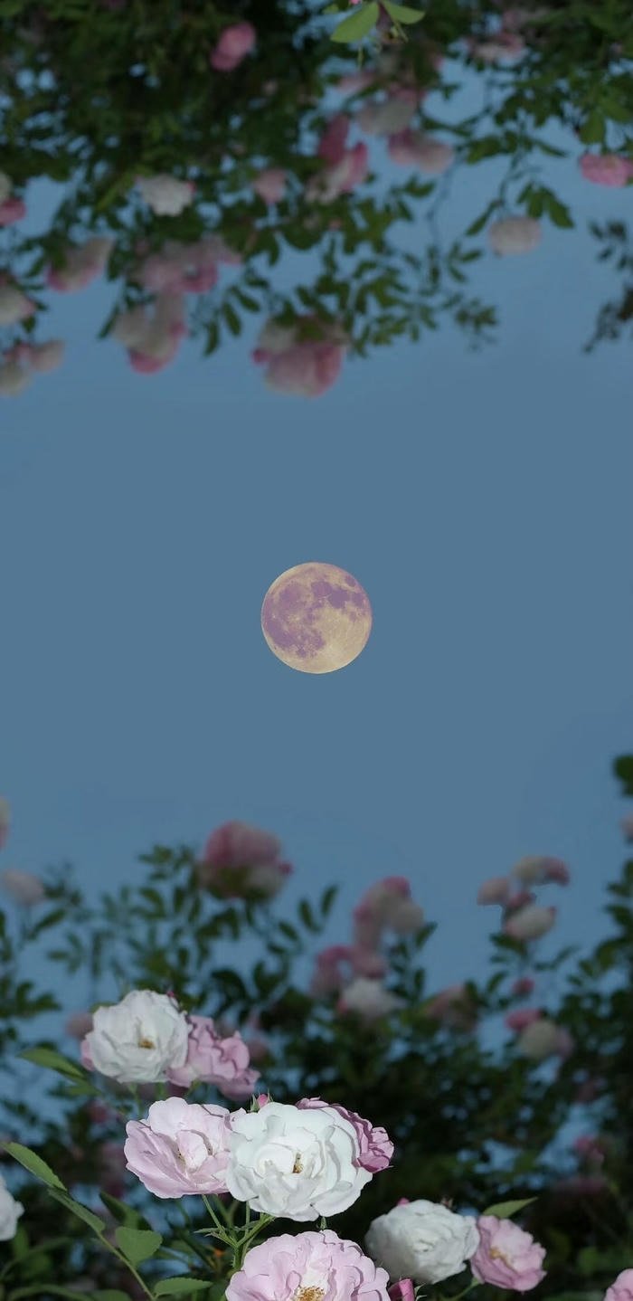 hình nền 4k đẹp nhất