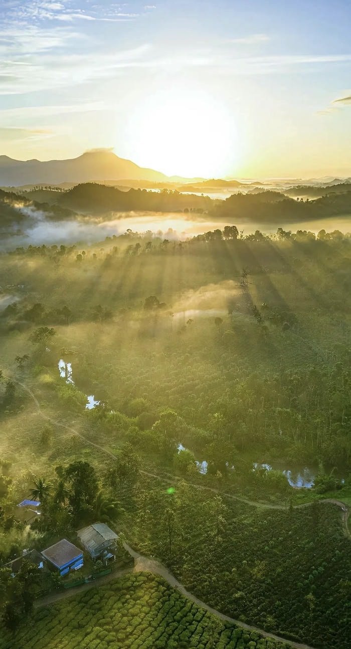 hình nền ánh nắng bình minh