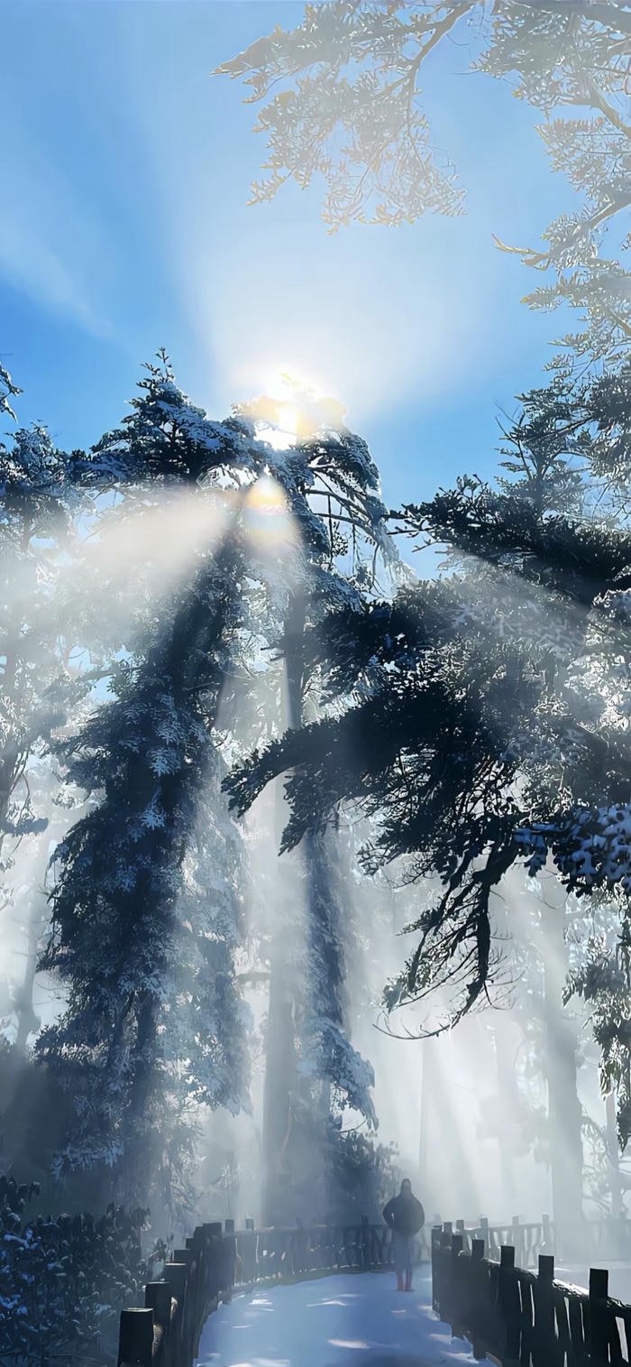 hình nền ánh sáng chiếu rọi