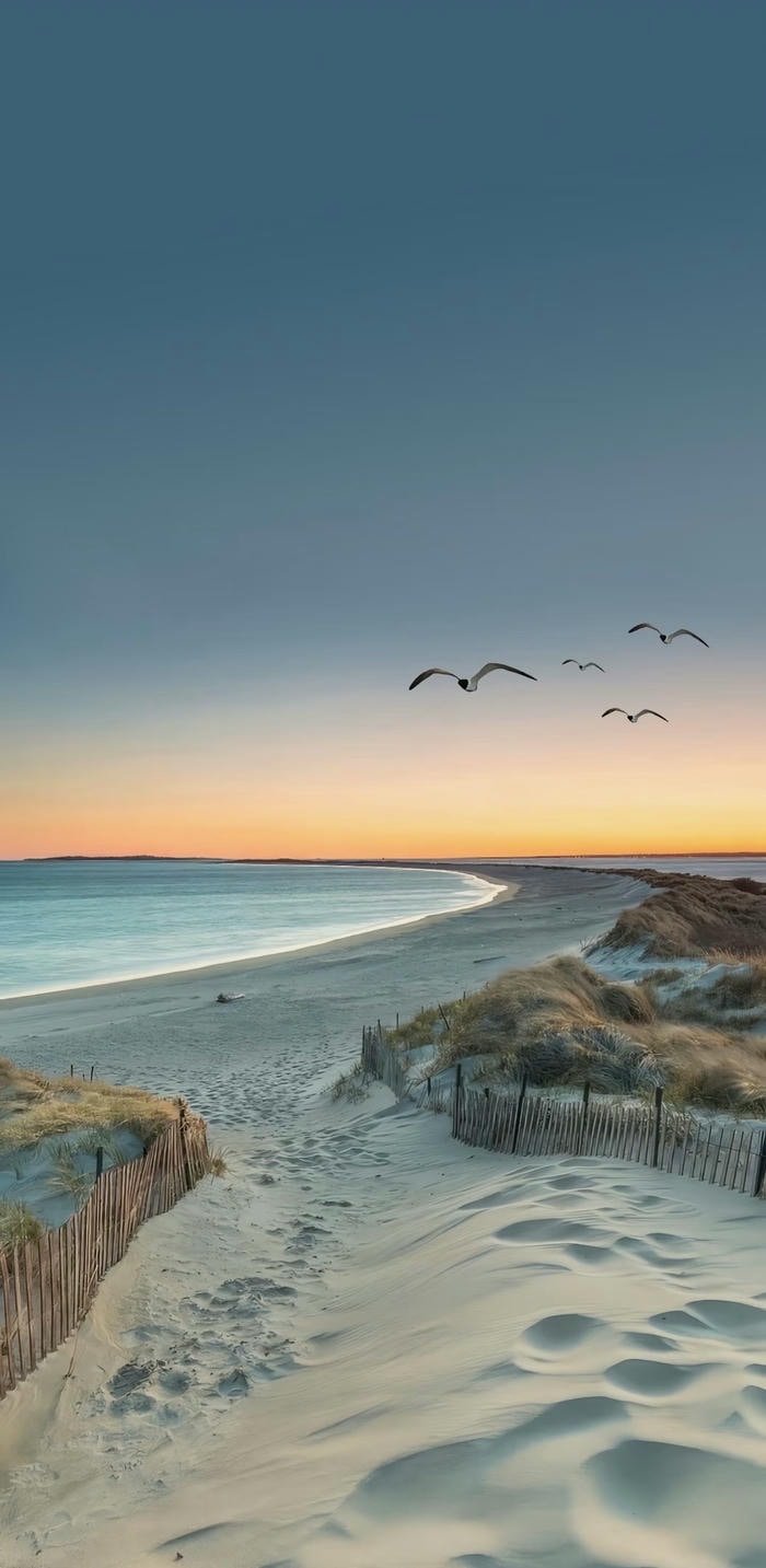 hình nền bãi cát hình nền bãi cát