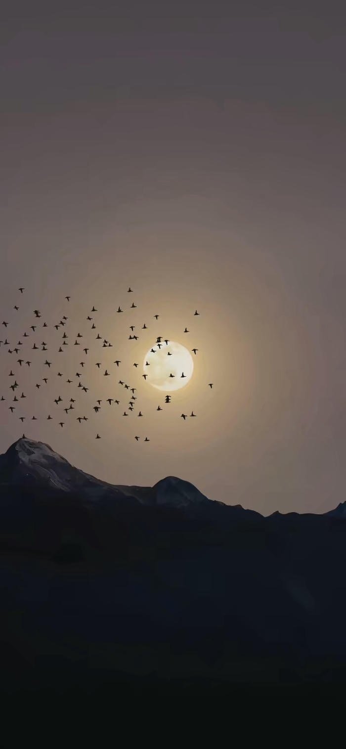 hình nền ban đêm