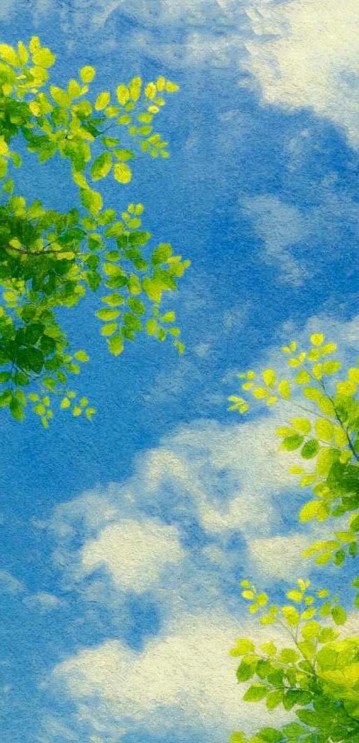 hình nền bầu trời hình nền bầu trời