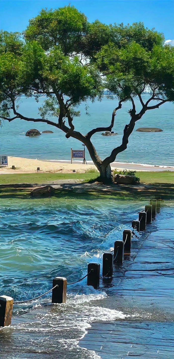 hình nền biển đẹp