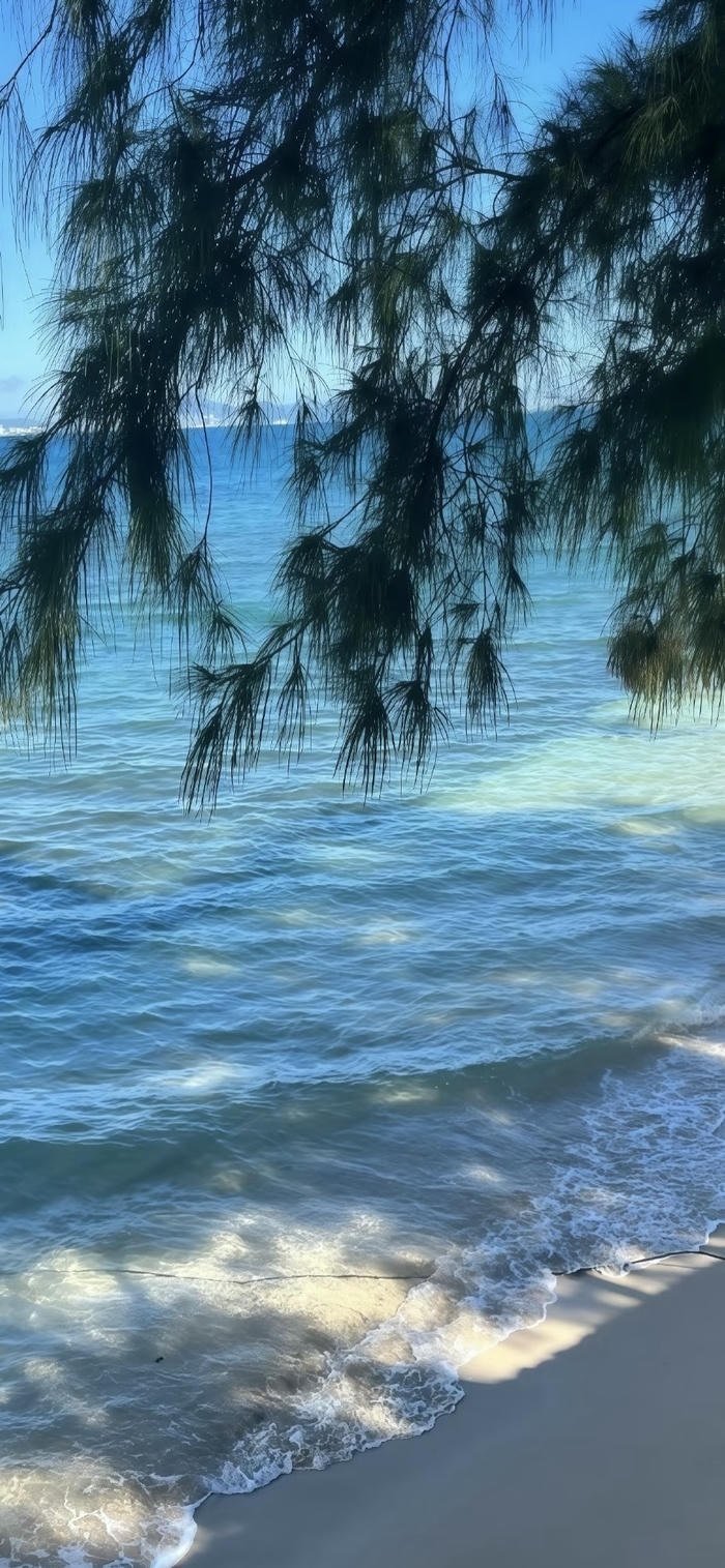 hình nền biển mùa hè