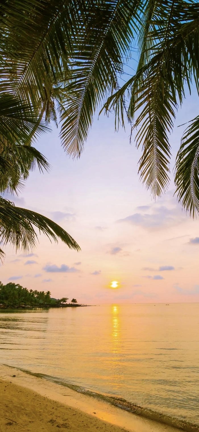 hình nền bình minh trên biển