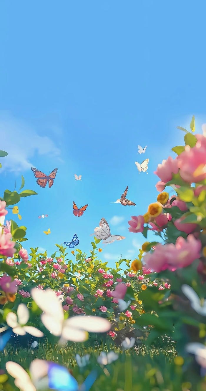 hình nền bướm và hoa đẹp