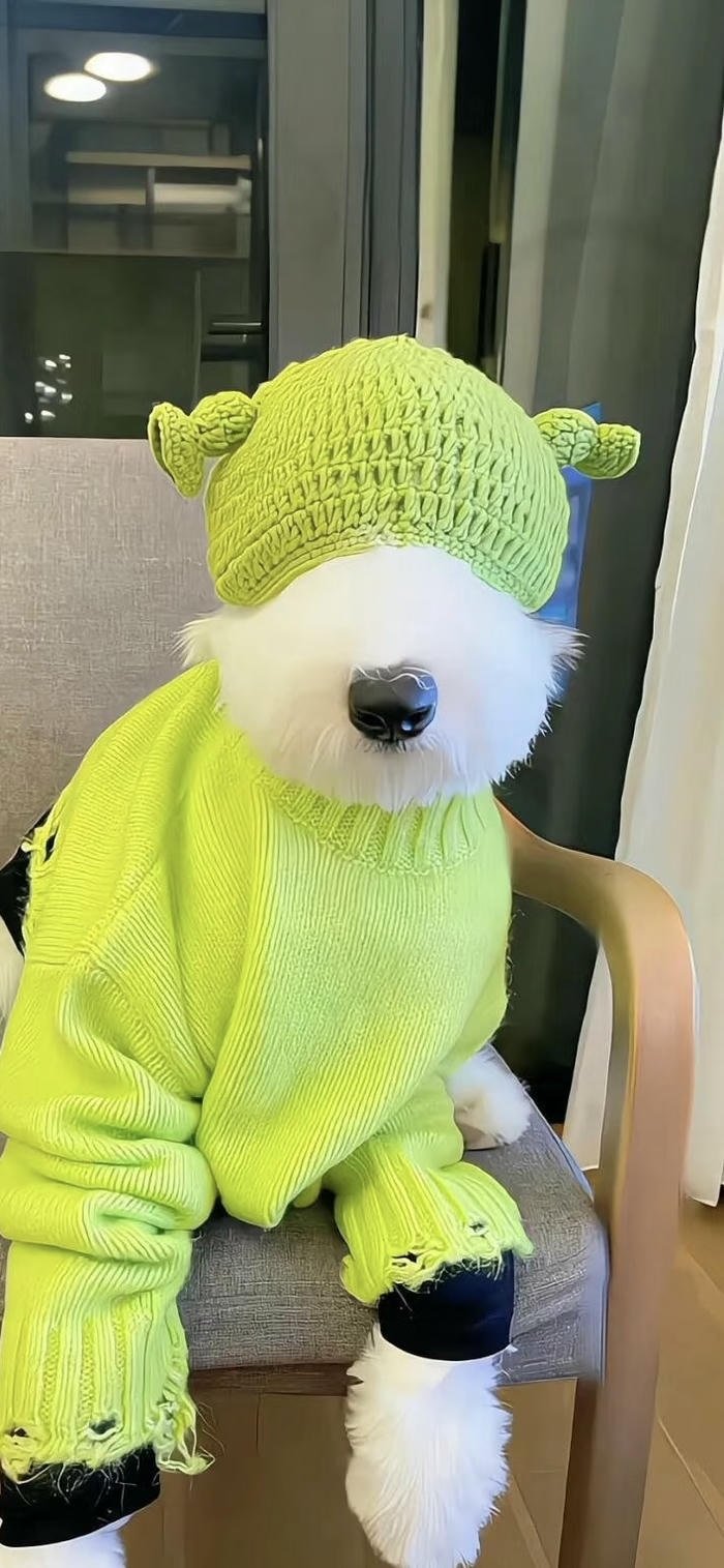 hình nền chó màu xanh dễ thương