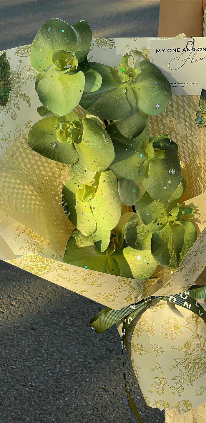 hình nền điện thoại hoa