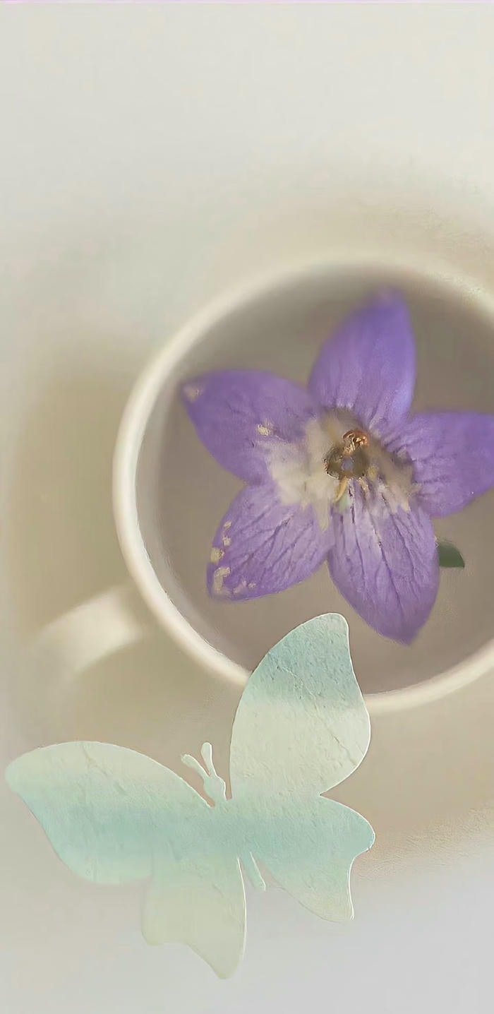 hình nền đơn giản hình nền đơn giản