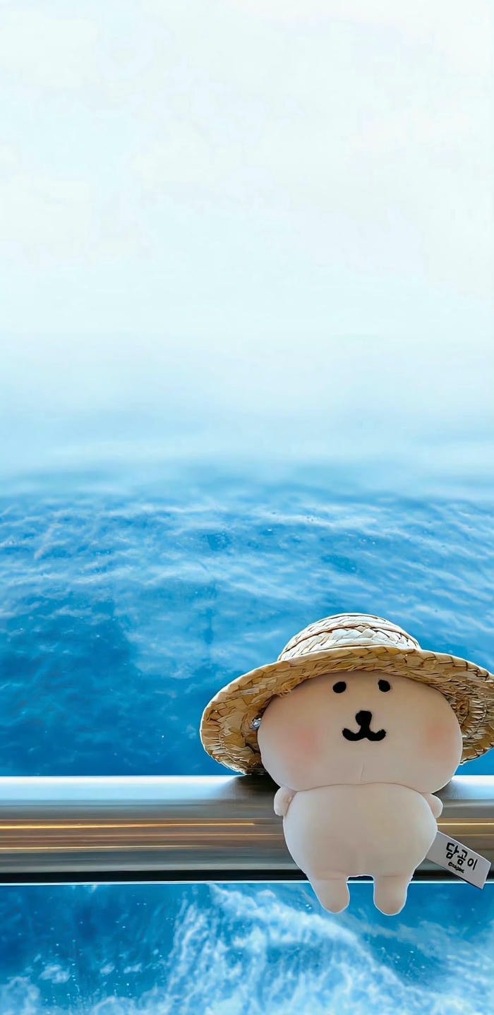 hình nền gấu và biển hình nền gấu và biển