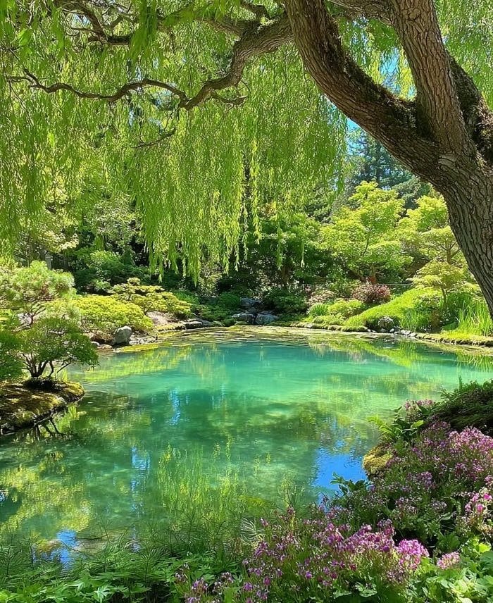 hình nền hồ nước xanh