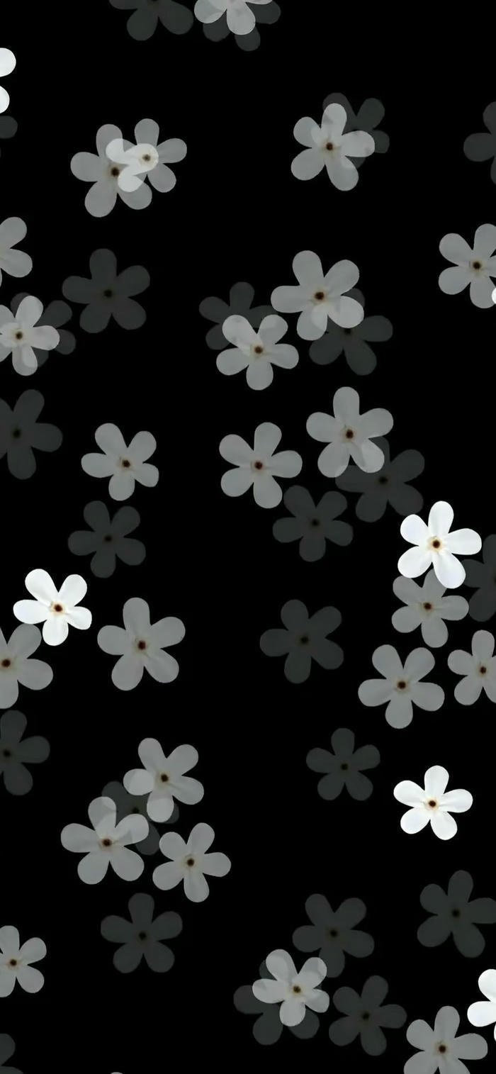 hình nền hoa dại nở đơn giản