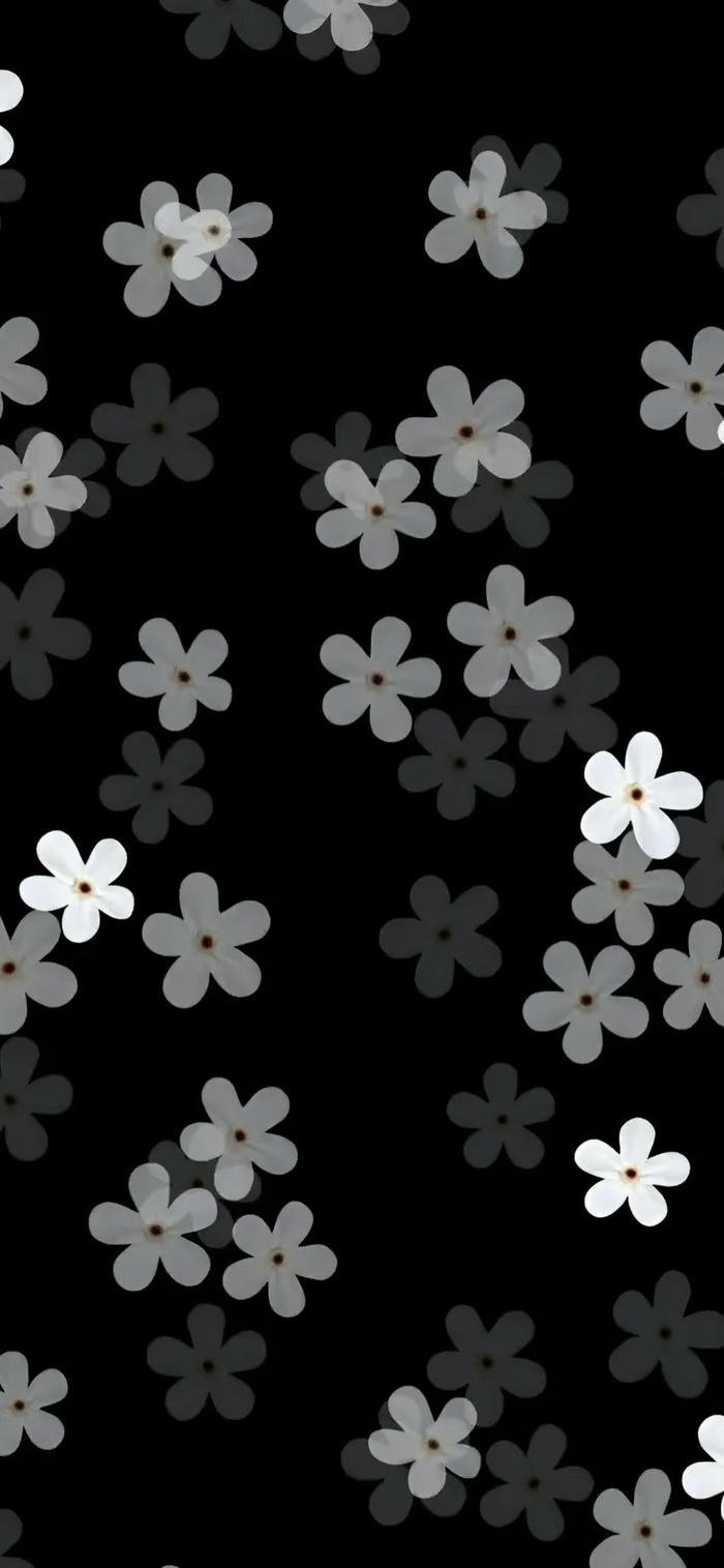 hình nền hoa dại