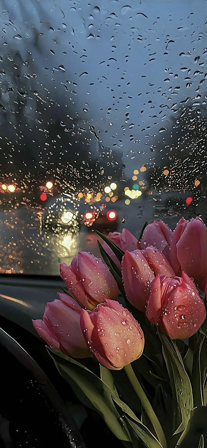 hình nền hoa đẹp