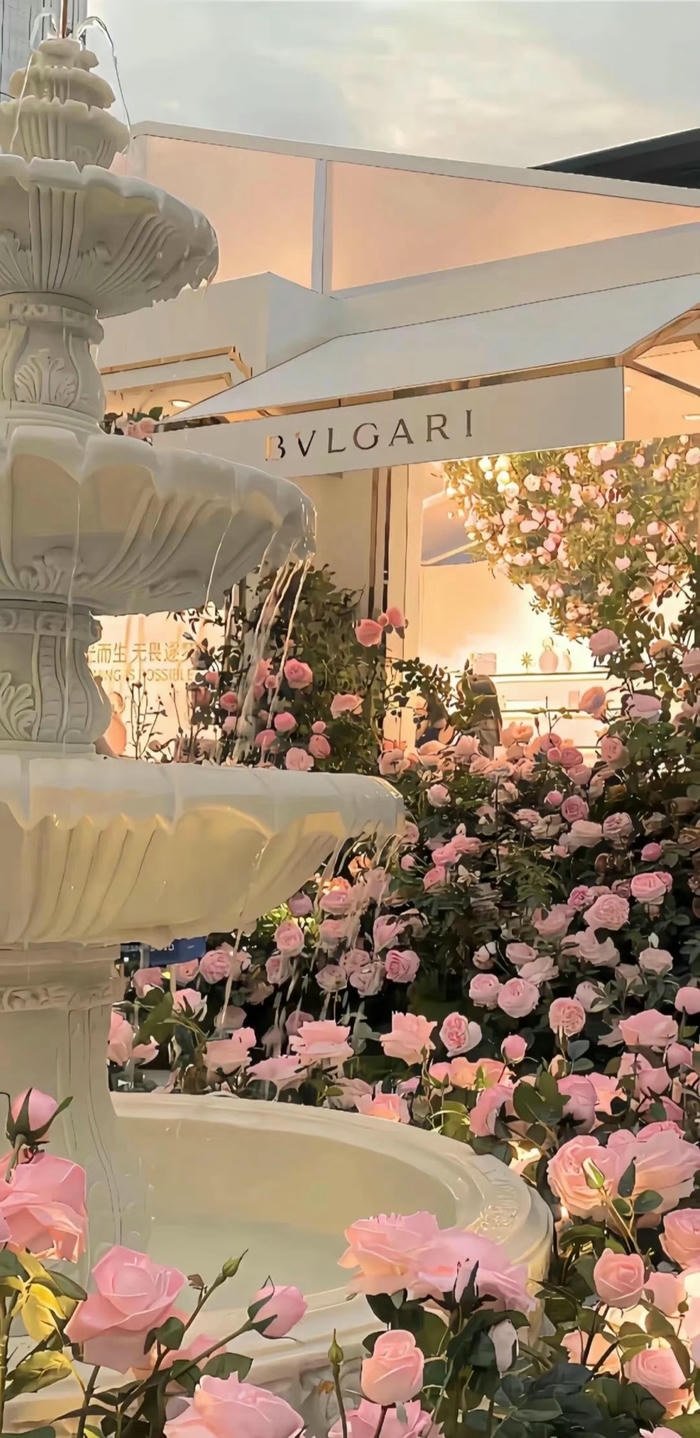 hình nền hoa hồng đẹp